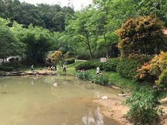 -火炉山森林公园