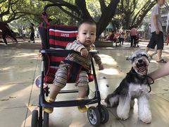 -垂虹公园