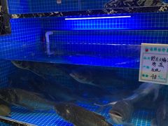 -姜君·千岛湖鱼头馆(浦东大道店)