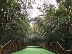 -陶祖圣境风景区