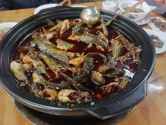 -金海椒罐罐鲢鱼(东方桂苑店)