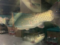 -粤顺渔坊·中山脆肉鲩火锅(清湖店)