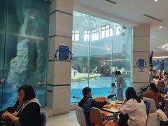 -帝企鹅自助餐厅•儿童岛•真企鹅(长隆企鹅酒店)