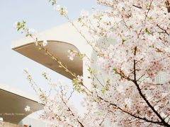-龙美术馆(西岸馆)