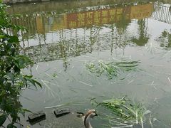 -润记农家菜