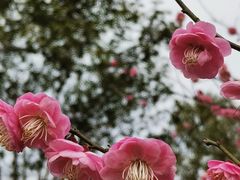 -广富林郊野公园