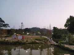 -中山市树木园