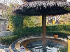 -大连金石滩绿发温泉假日酒店