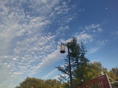 -石门豆腐王(红旗街店)