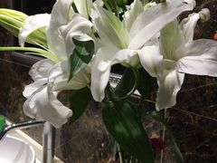 -湖庭壹品鸭王·传统北京烤鸭·别墅私房菜·庭院宵夜(江宁店)