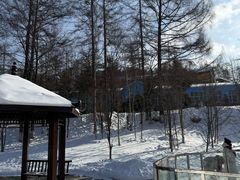 -横道河子东北虎林园