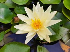 -东关历史文化旅游区-东门遗址