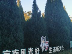 -大兴滨河森林公园