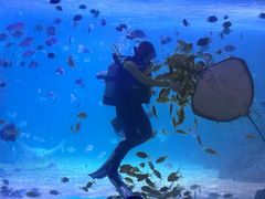 -常州海昌海洋探索馆