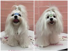 -FAELING PETS美天灵宠物(合生汇店)