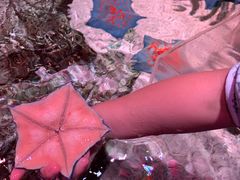 -沈阳海洋探索中心