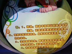 -松江科技馆