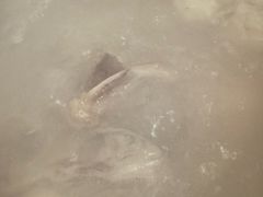 -正能量脆肉鲩火锅