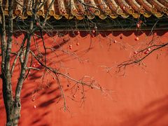 -故宫博物院(故宫)