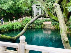 -蝴蝶泉公园