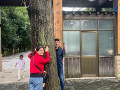 -溱湖国家湿地公园