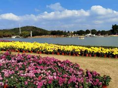 -上海月湖雕塑公园