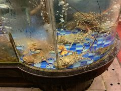 -新塘畔酒楼(里水大道北店)