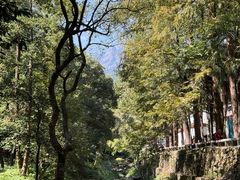 -白鹿洞书院