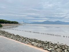 -深圳湾公园(南山区)