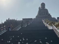 -龙口南山旅游景区