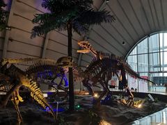 -辽宁古生物博物馆