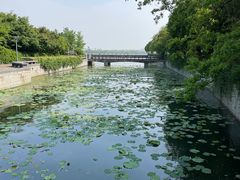 -蠡湖大桥公园