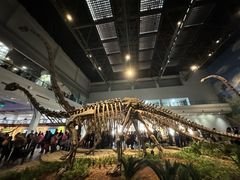 -自贡恐龙博物馆