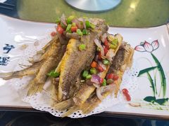 -晓平饭店(嘉善路店)