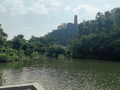 -南沙蒲洲花园