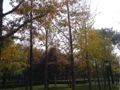 晚秋-唐城墙遗址公园