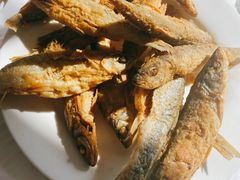 -庆岭迎宾园正宗活鱼馆