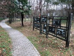 -东平国家森林公园