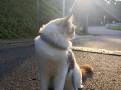 -火炉山森林公园