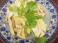 -九斤黄三黄鸡专卖店