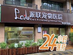 -派联宠物医院·24h·CT·异宠