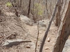 -北京西山国家森林公园