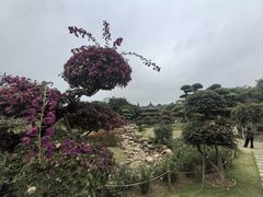 -南宁南湖公园