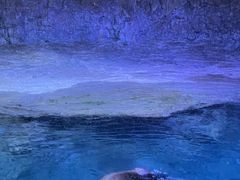 -海合安青岛极地海洋公园