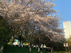 -凤城河风景区