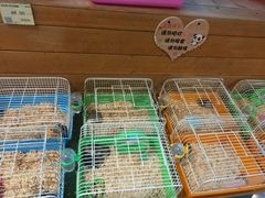 -龟与熊猫宠物公园(南坪店)