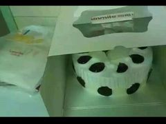 -向阳松鼠(江口店)