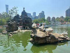 -团结湖公园
