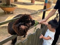 -石家庄市动物园