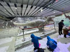 -宁波冰雪大世界(北仑区)